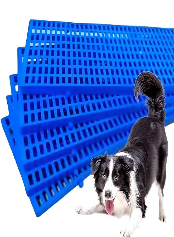 D&C PAWS سجادة أرضية للحيوانات الأليفة من دي آند سي باوز، مقاس 36 × 12 بوصة، شديدة التحمل ومقاومة للماء، سجادة أرضية بلاستيكية مانعة للانزلاق للكلاب والقطط والأرانب وخنازير غينيا (أزرق، عبوة من قطعتين) - Image 1